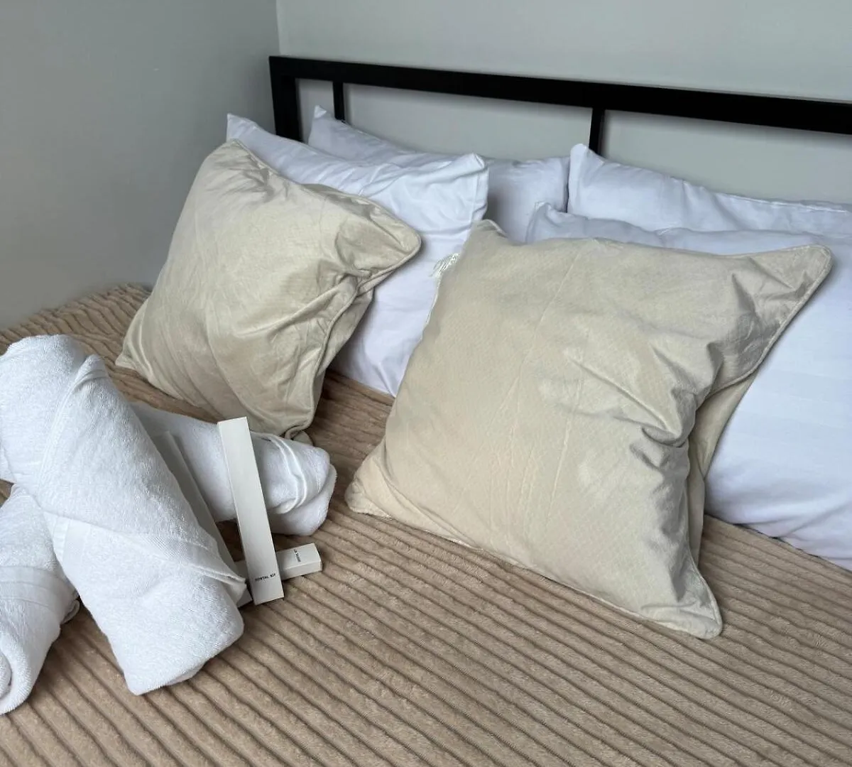 2-Bedroom Cozy Stay Near Bgc Manila Apartment